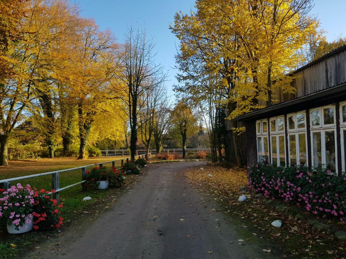 Grosse, Helle Ferienwohnung Mit 2 Balkonen Auf Dem Bauernhof In Der Lueneburger Heide Oetzen Kültér fotó